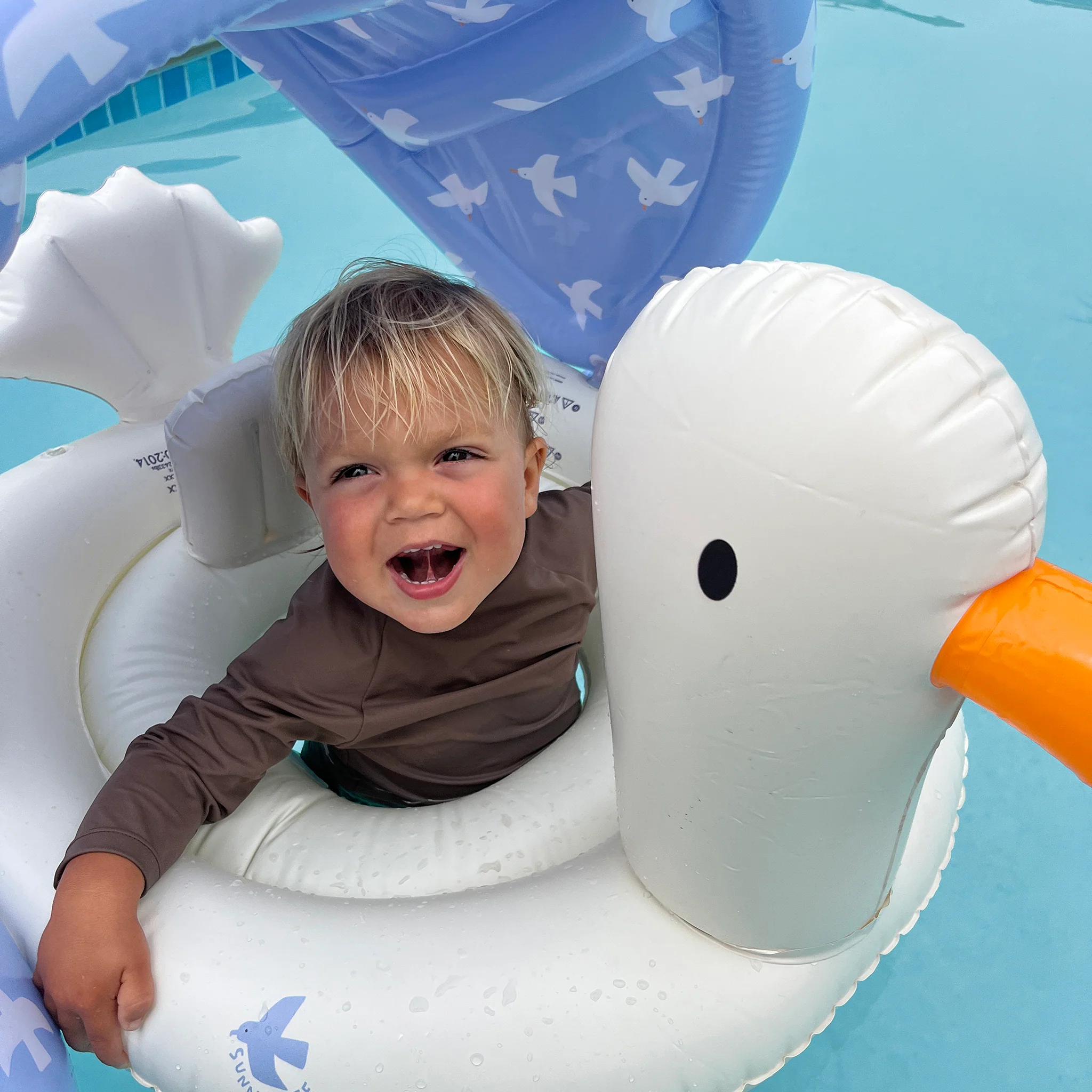 Baby Float - Sammy the Seagull - Image 5