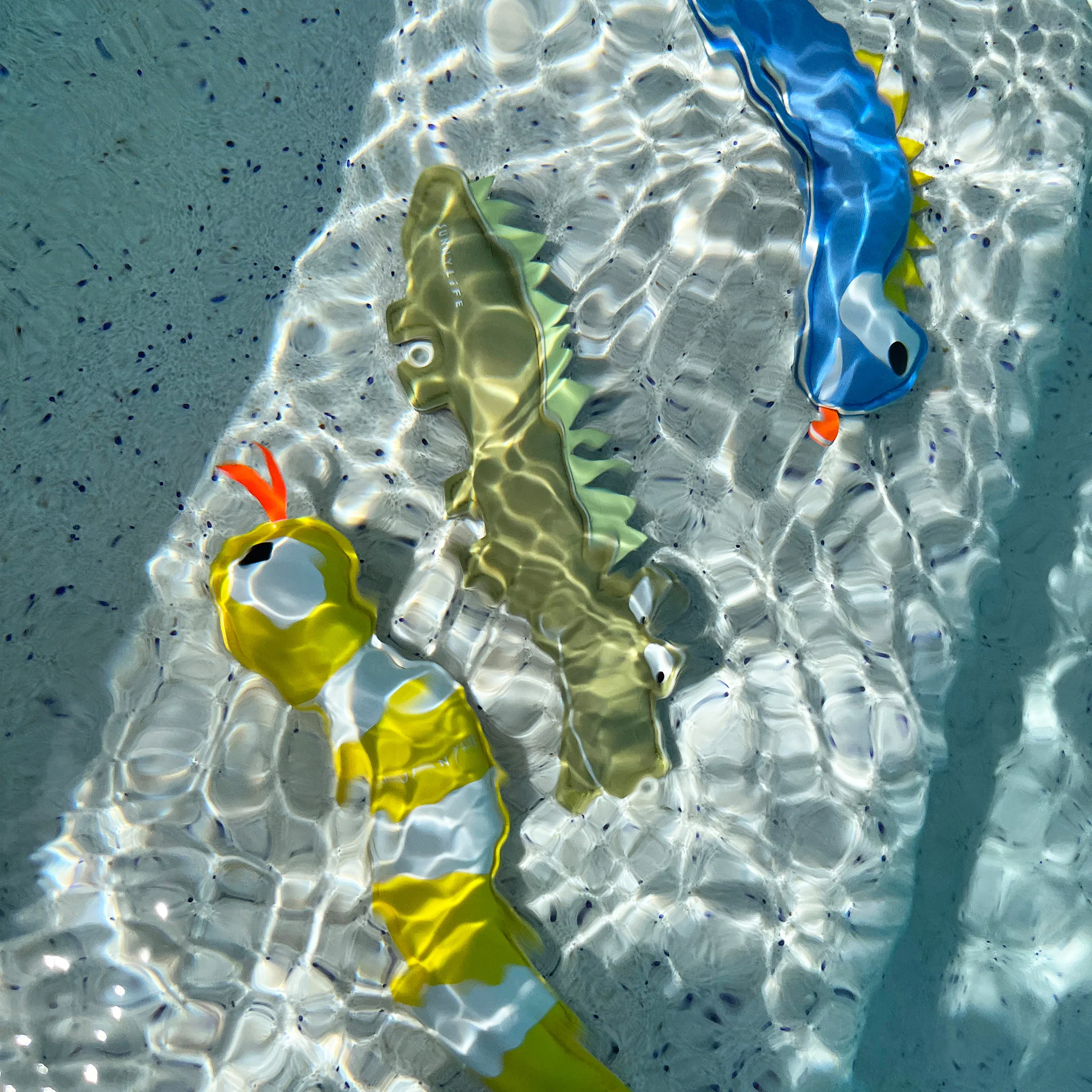 Dive Buddies - Into the Wild Set of 3 - Image 3