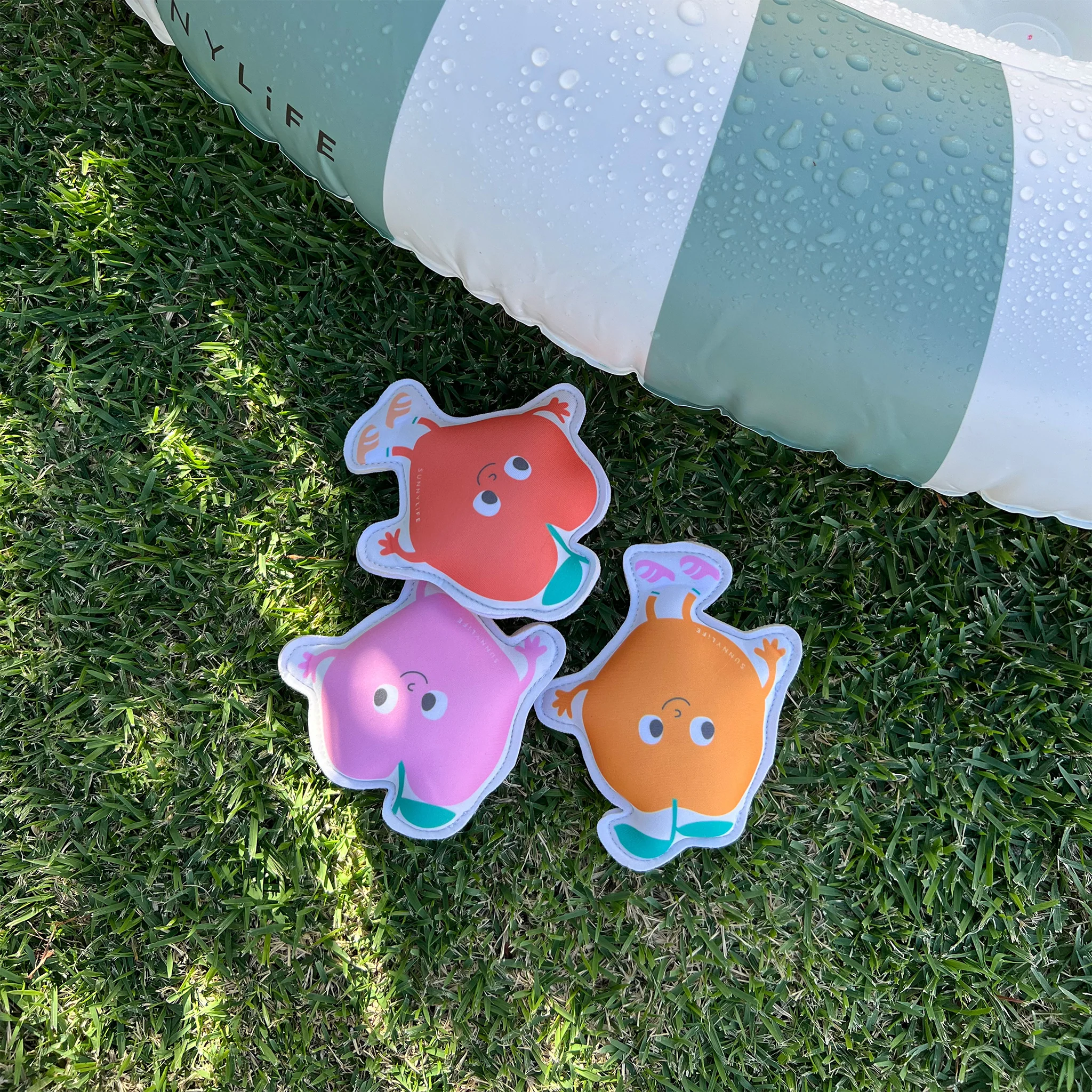 Dive Buddies - Poppy the Peach Multi - Image 5